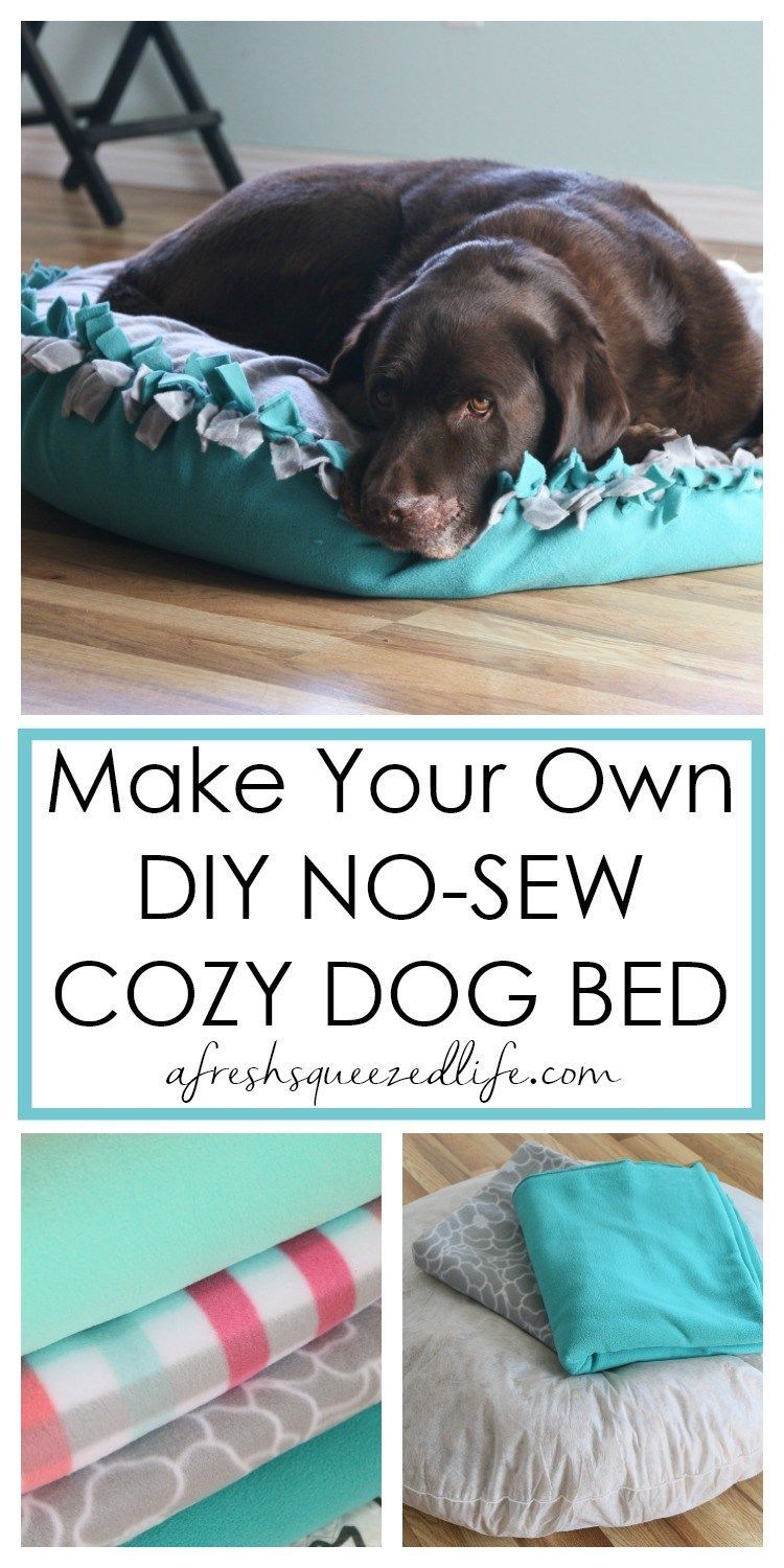 MAKE A DIY NO SEW DOG BED -   diy Dog crafts