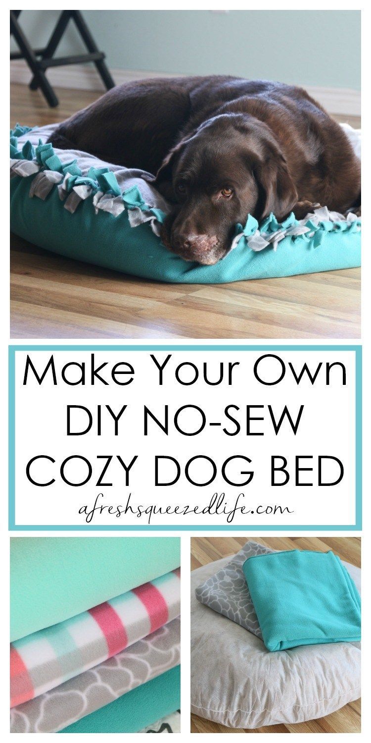 diy Dog crafts