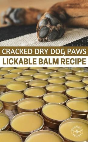 DIY Dog Paw Balm Soothing Recipe | SHTFPreparedness -   diy Dog crafts