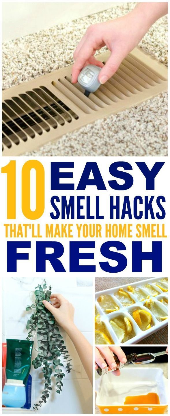 10 Brilliant Ways to Make Your Home Smell Amazing -   diy House simple