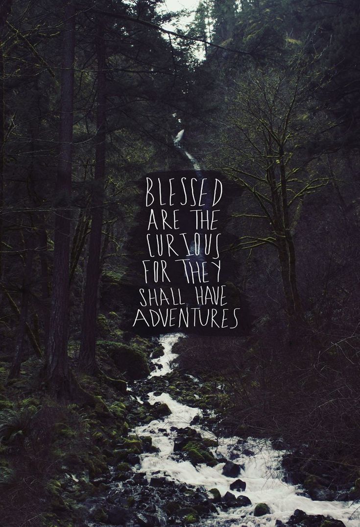 Blessed Are The Curious For They Shall Have Adventures -   19 beauty Pictures adventure ideas