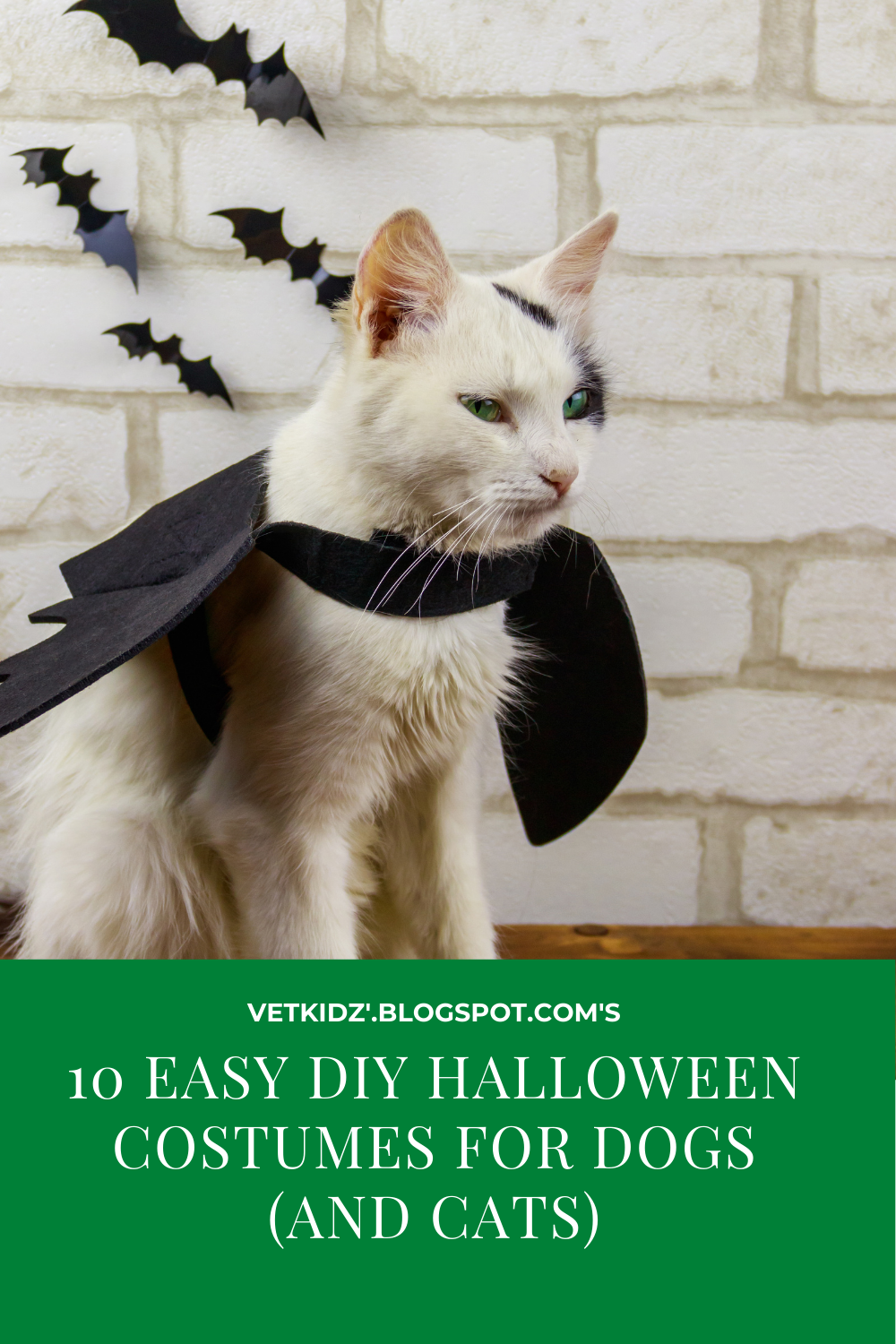 19 diy Halloween Costumes cat ideas