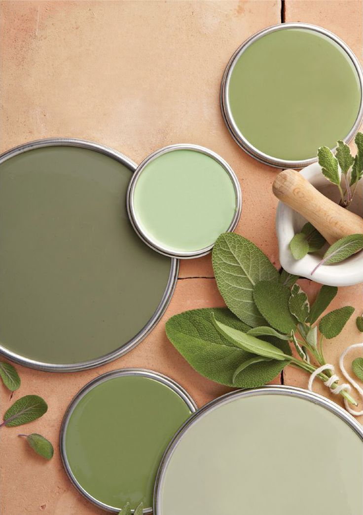 Sage Green Swatch -   16 sage green aesthetic ideas