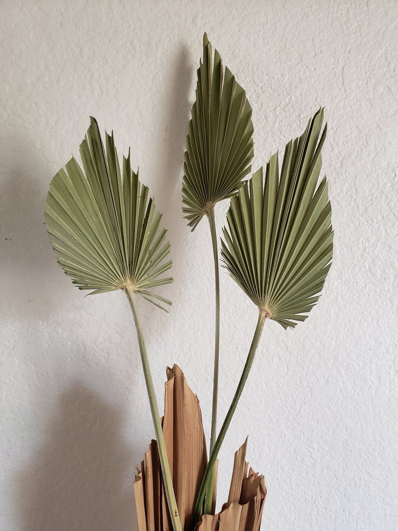 Trimmed Palm Flutters - Dried Sage Green Palm Leaves Dried, Dried Leaves, Tropical Palm Leaves, Palm Decoration, Dried Natural Leaves -   16 sage green aesthetic ideas