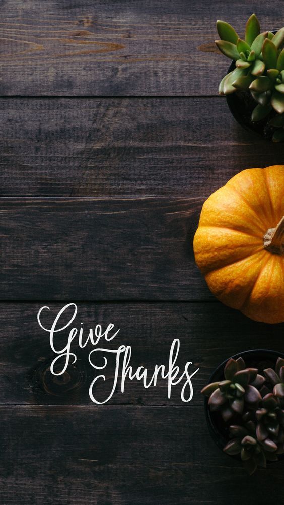 30+ Cute Thanksgiving Wallpapers For iPhone (Free Download) -   17 thanksgiving wallpaper ideas