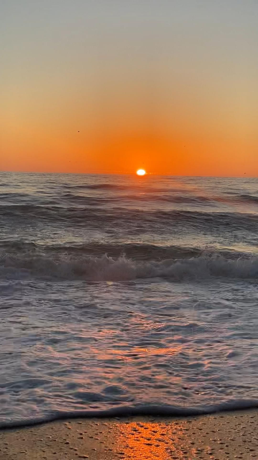Sunset at the Ocean пёЏ -   19 beauty Photography sunset ideas