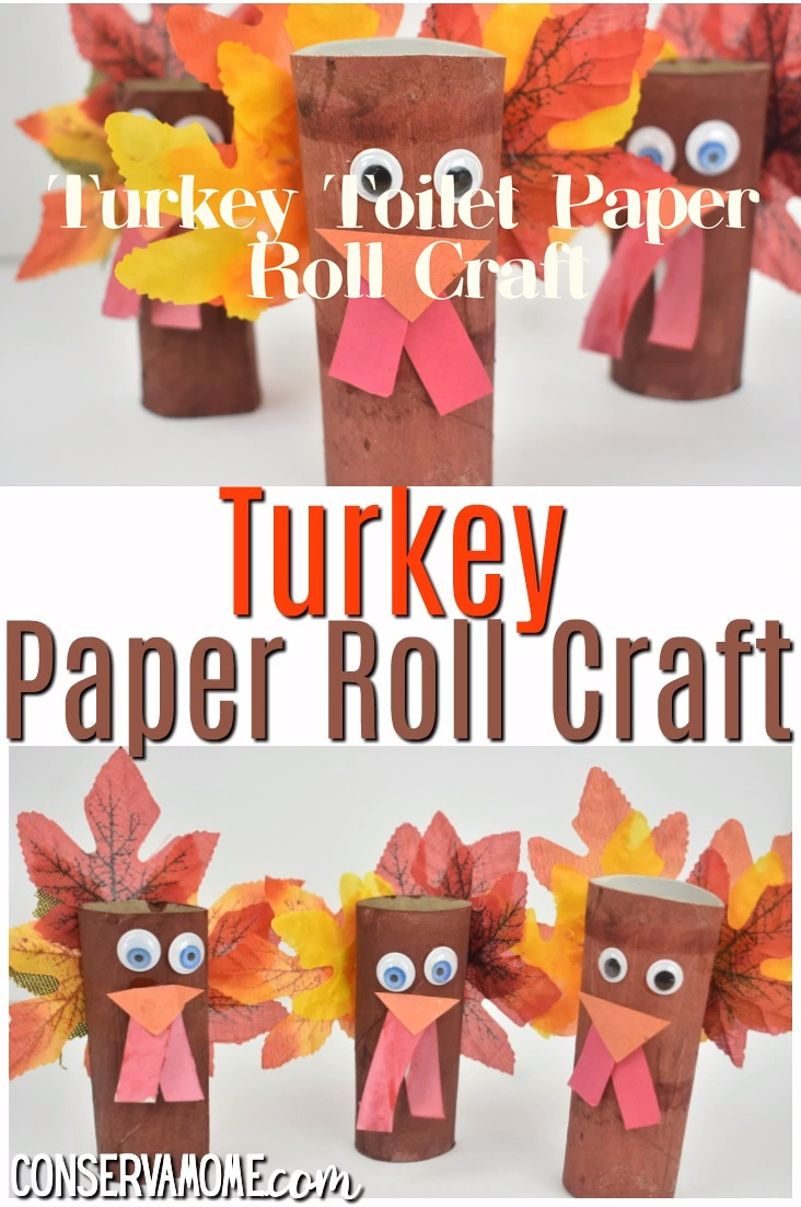 Turkey Paper Roll Craft -   19 diy thanksgiving cards for kids ideas