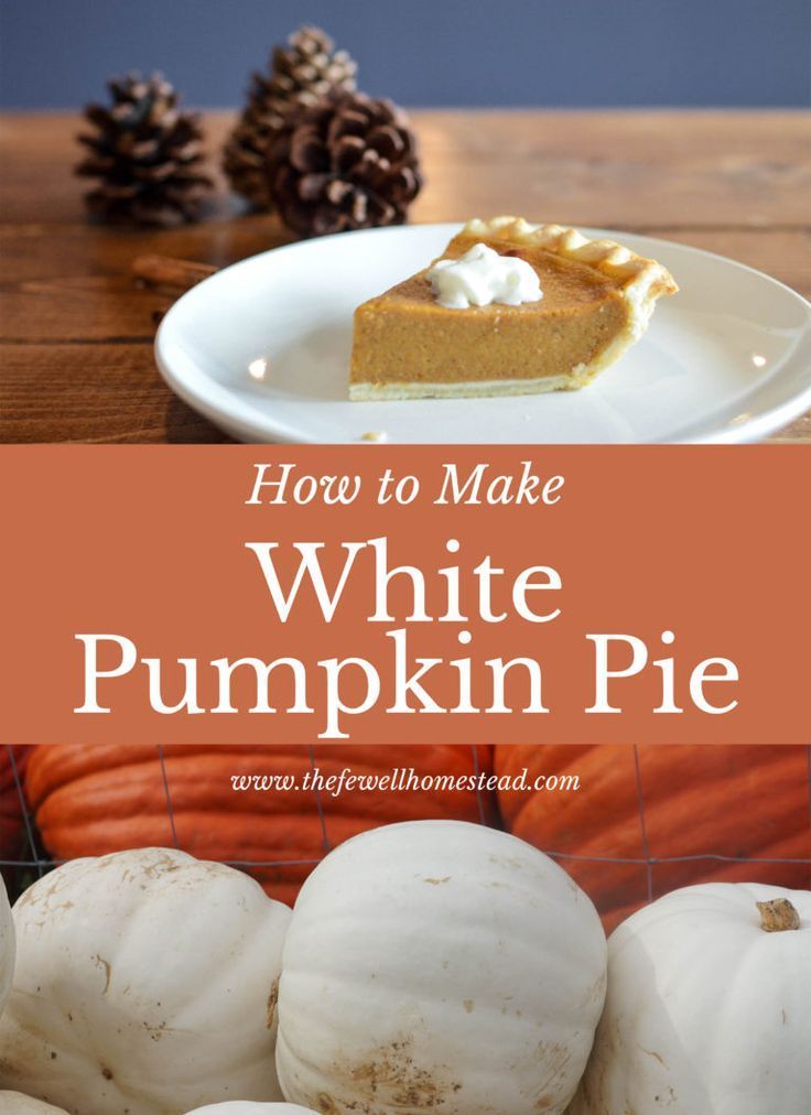 How to Make White Pumpkin Pie or Cinderella Pumpkin Pie | Amy K. Fewell -   19 pumpkin pie recipe from real pumpkin ideas