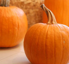 19 pumpkin pie recipe from real pumpkin ideas
