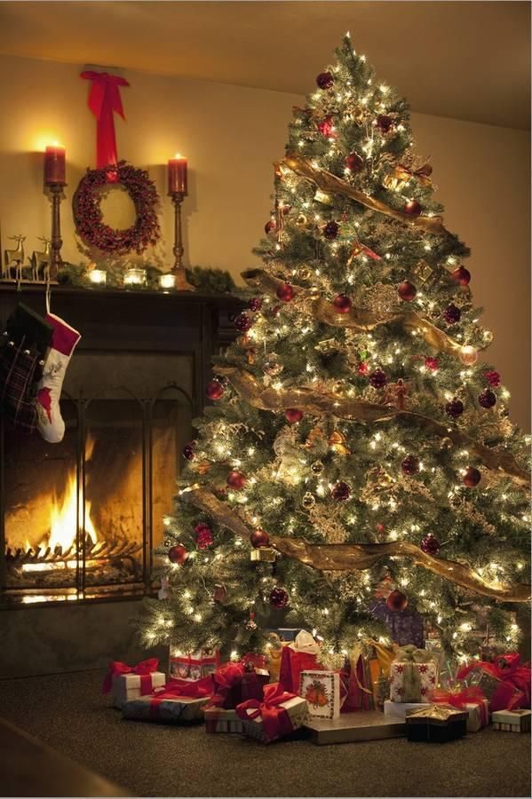 'Christmas Tree' Photographic Print  | Art.com -   17 christmas tree decorations ideas