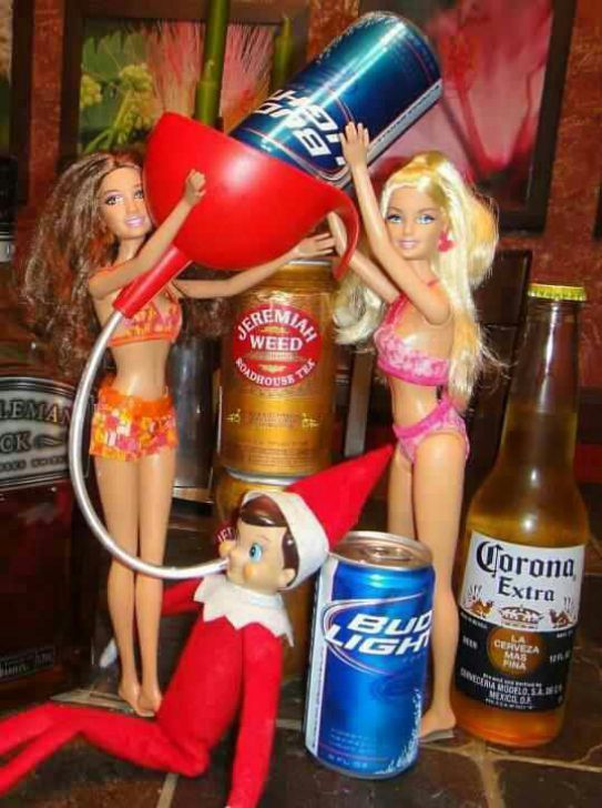 18 elf on the shelf for adults ideas