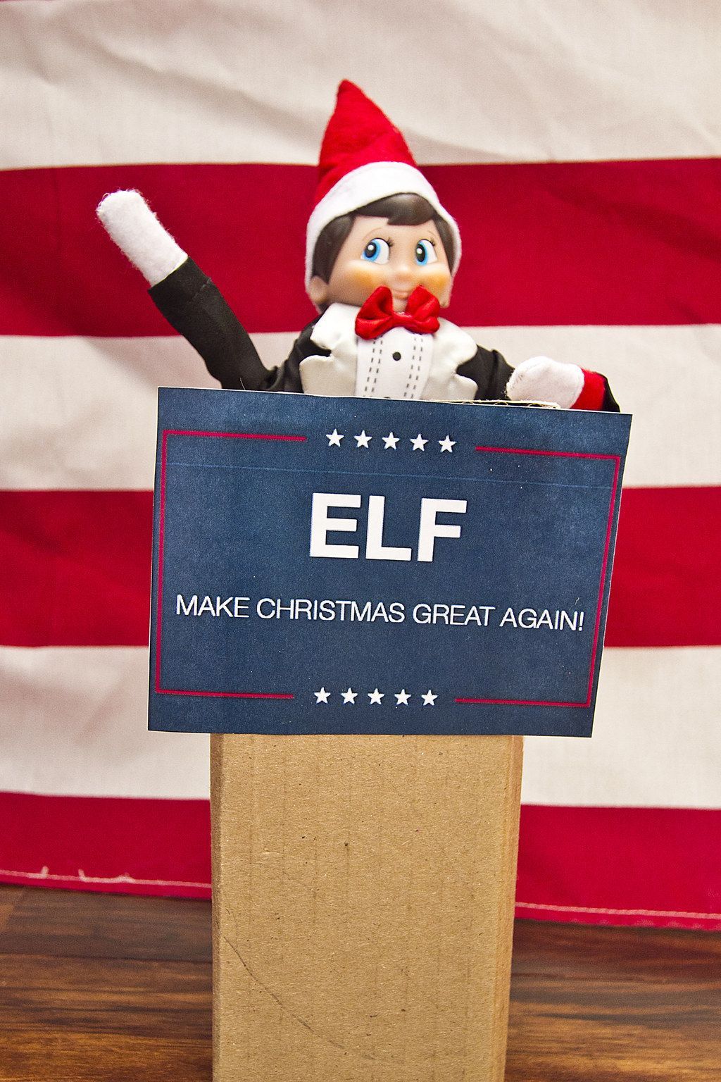 Running for President -   18 elf on the shelf for adults ideas
