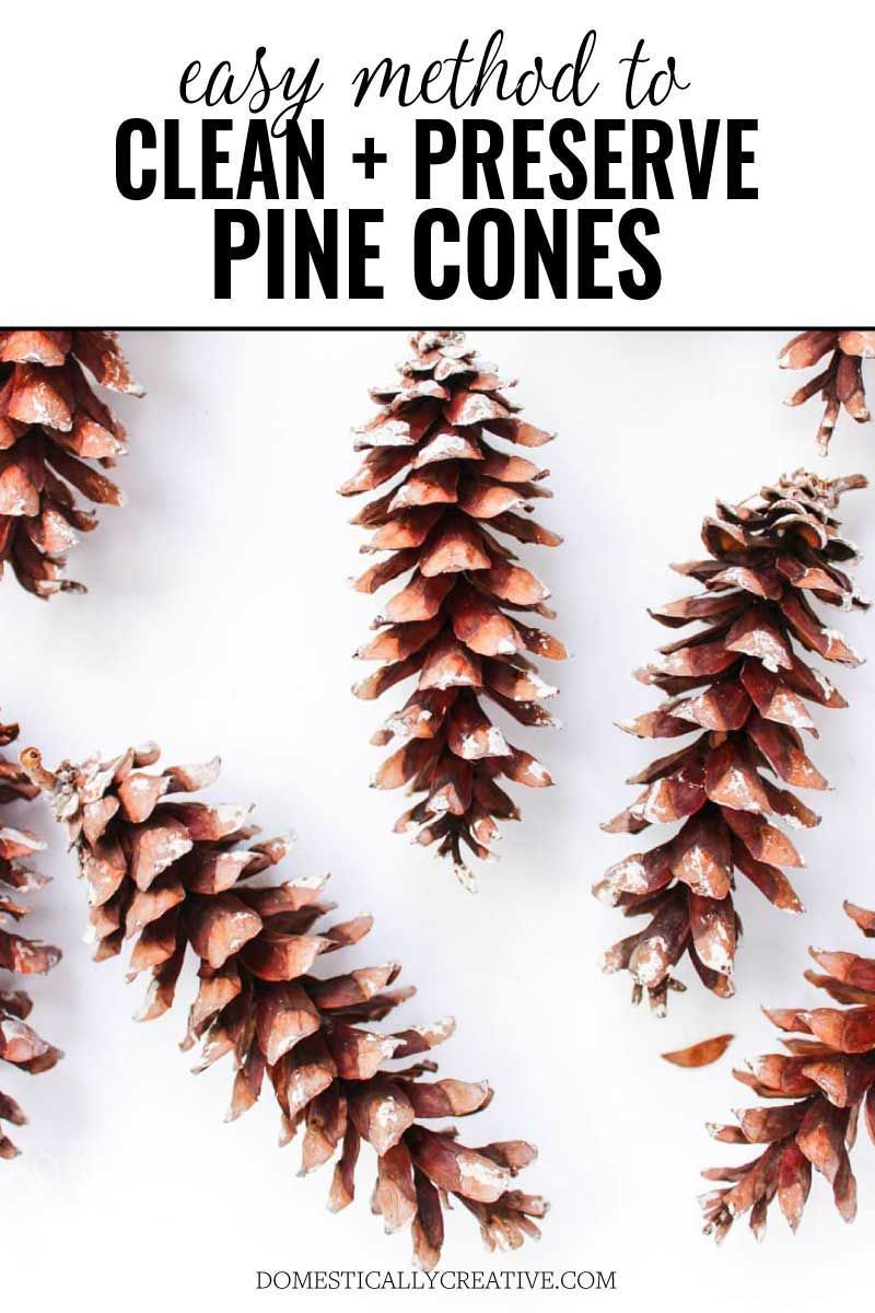 How To Clean and Preserve Pine Cones -   18 rustic tree topper pine cones ideas