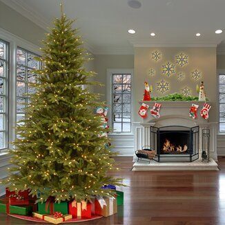 Dunhill Fir Green Fir Christmas Tree with Multi-Color Lights -   19 christmas decor wreaths & garlands ideas