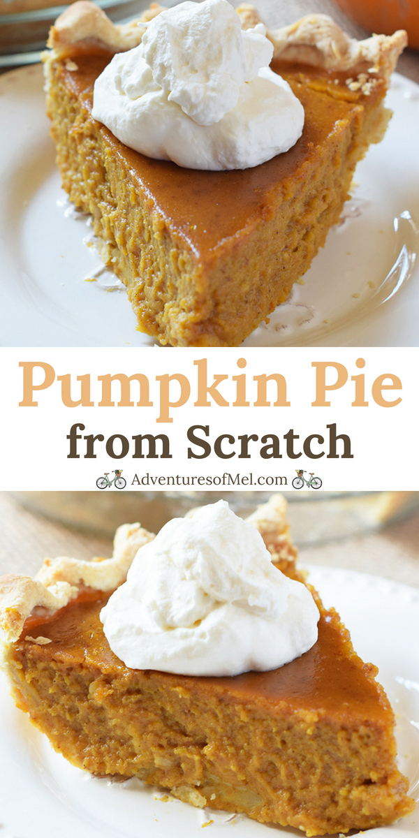 Classic Pumpkin Pie from Scratch - Adventures of Mel -   19 pumpkin pie recipe easy from scratch ideas