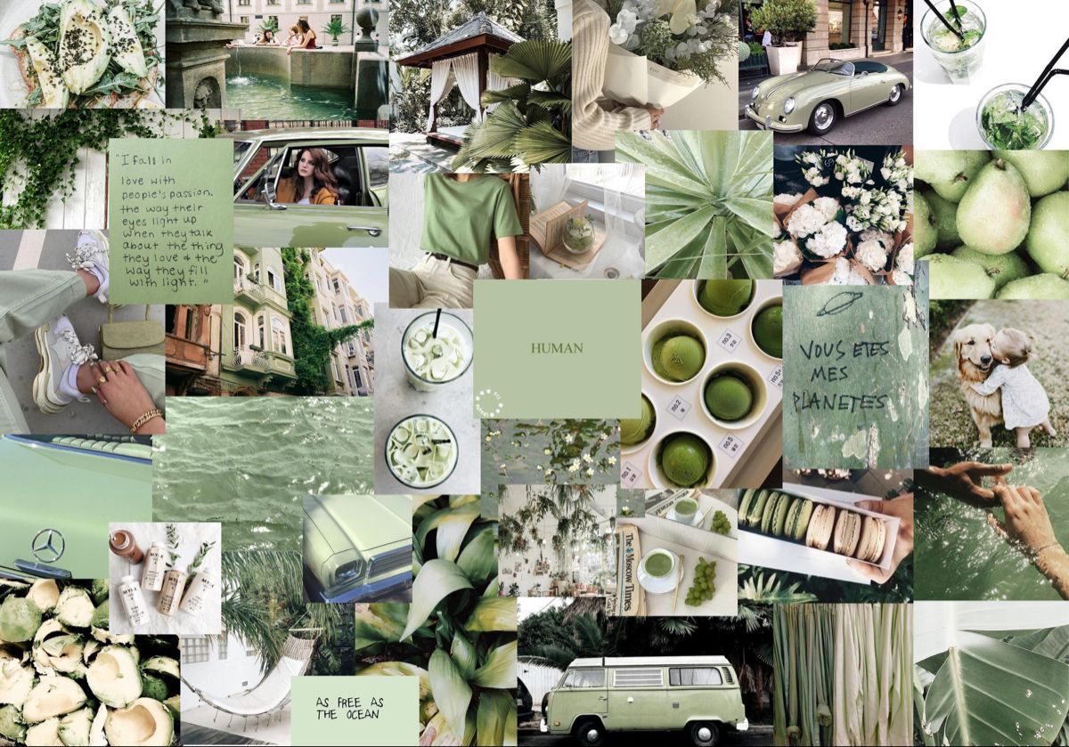 matcha green aesthetic laptop wallpaper -   24 sage green aesthetic wallpaper laptop ideas