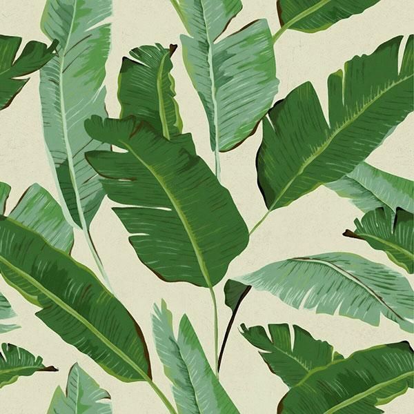 Banana Leaves Wallpaper by MINDTHEGAP -   24 sage green aesthetic wallpaper laptop ideas