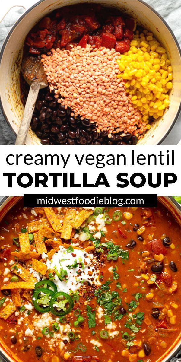 Creamy Vegan Lentil Tortilla Soup -   25 instant pot soup recipes healthy vegetarian ideas