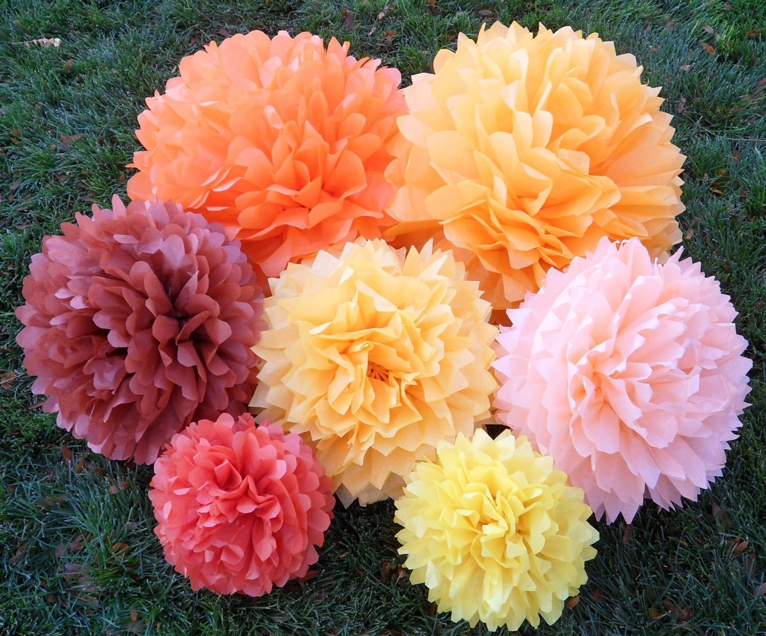 Tissue paper flowers  PinPoint